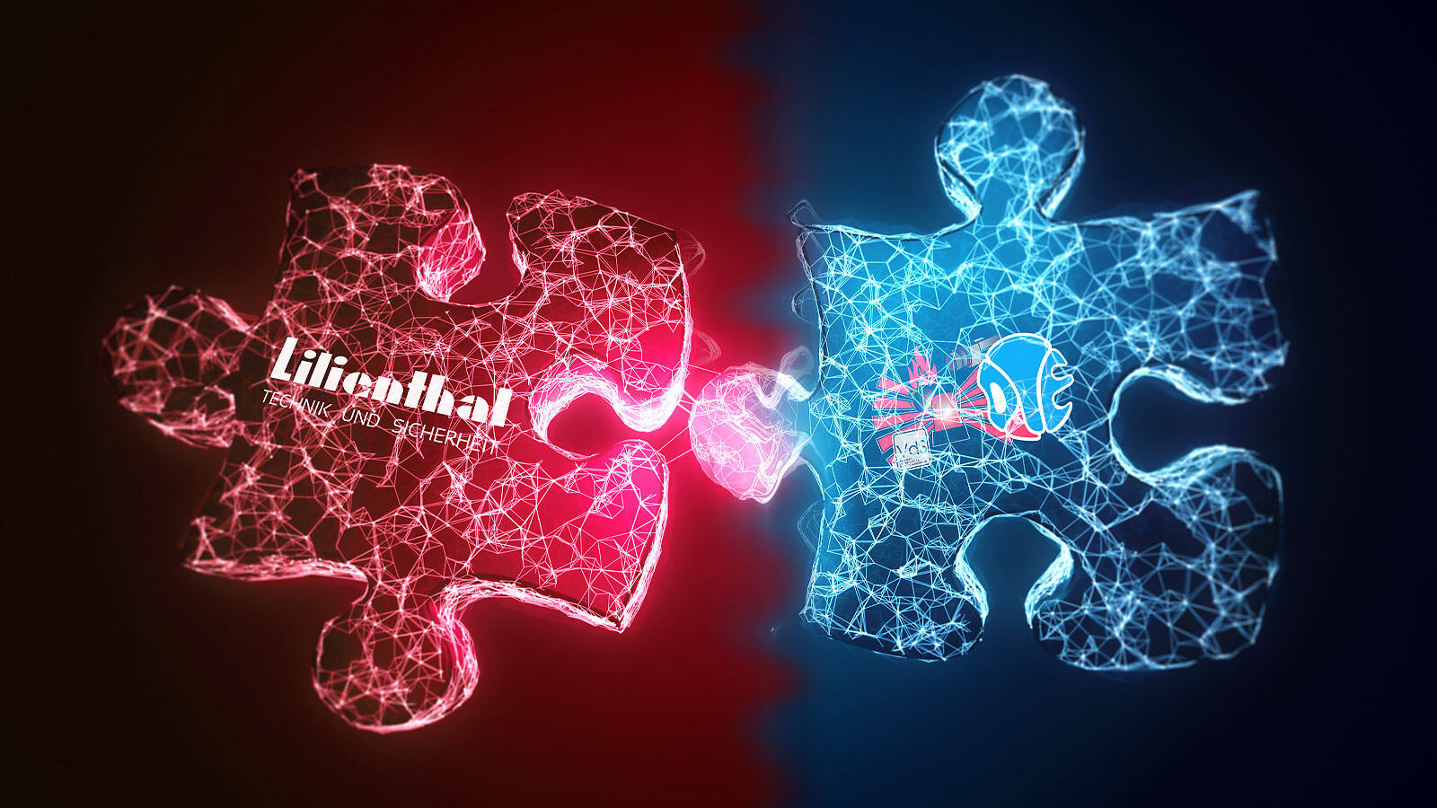 dte-sicherheitstechnik